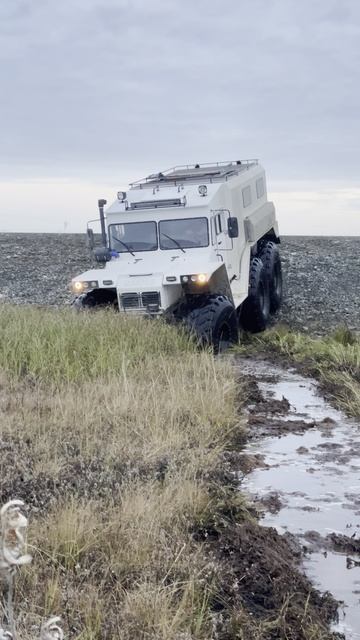 Снегоболотоход Олимп. Производство г.Новый уренгой, ЯНАО смотреть онлайн
