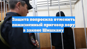 Защита попросила отменить пожизненный приговор вору в законе Шишкану