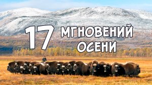 17 мгновений осени