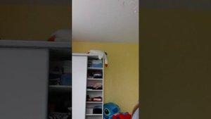 ядьпвжьвдтыпщо