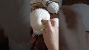 Покупочки пряжи