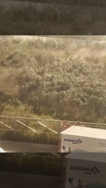 Питер рай на земле!!!