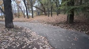 Влог / 20.10.2025 / Прогулка в Загородном парке
