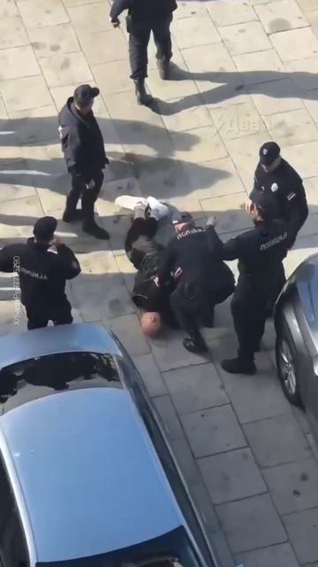 Теракт в Белграде: стрельба и поджог у парламента Сербии
