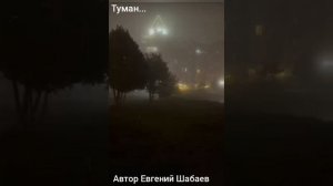 Туман... Автор Евгений Шабаев