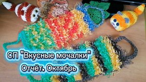СП "Вкусные мочалки". Отчёт. Октябрь. Связала 2 плоские мочалки из полипропилена.