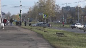 В мэрии рассказали, куда исчезли деревья в Ярославле