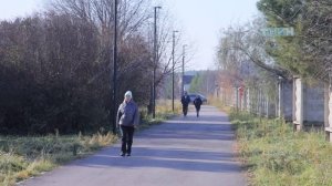 Завершилось голосование за будущие ППМИ