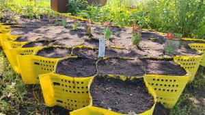 Как примененить георешетку на даче, на участке, на огороде