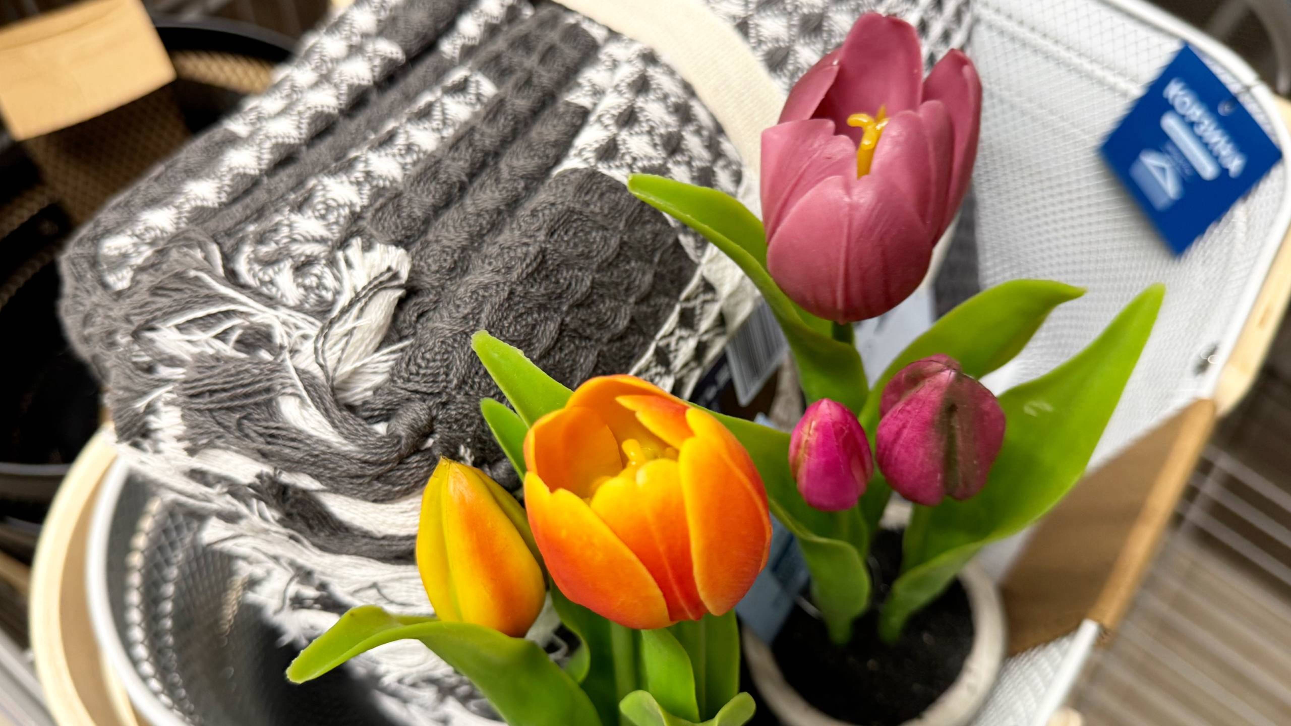 💛 ЧИЖИК 💛 НОВИНКИ НЕДЕЛИ 🔥 Для дома, кухни и одежда 🤩 Смотрим первыми новинки магазина Чижик ✅