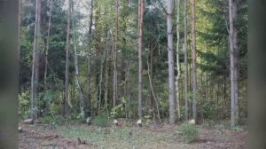 Они были онлайн через 5 дней после исчезновения, загадка семьи Усольцевых становится страшнее