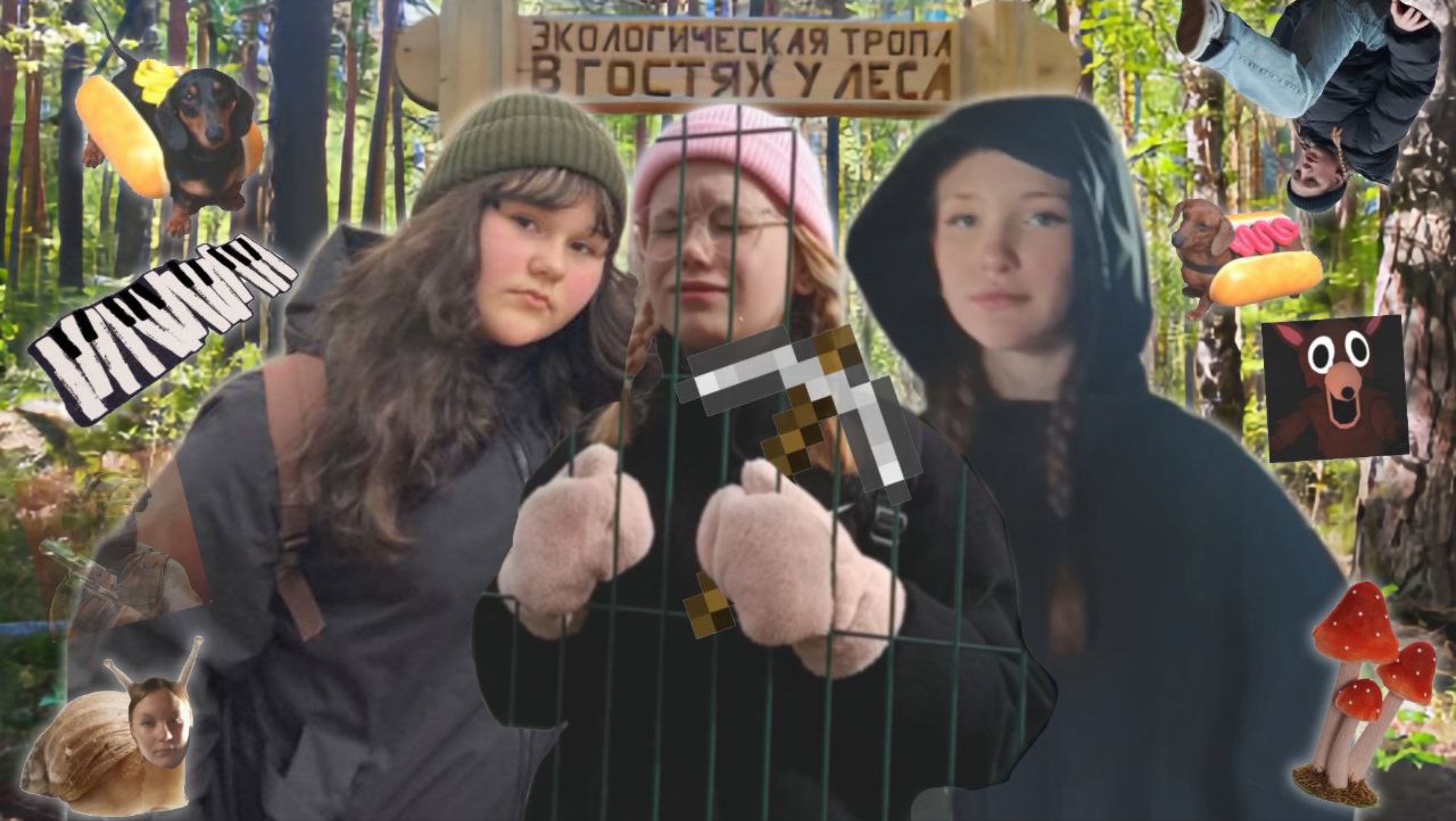 Влог тропа здоровья и мы все объелись грибов