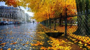 Мечтательные РЫБКИ 🎀🎀🎀 Ваш таро-прогноз на ноябрь 2025 год. 🐬