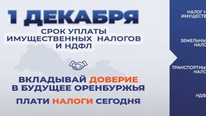 ФНС напоминает