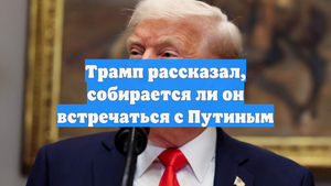 Трамп рассказал, собирается ли он встречаться с Путиным