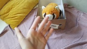 НОВЫЙ ПИТОМЕЦ?У КАНАЛА МОЖЕТ БЫТЬ ДРУГАЯ ТЕМА?!😰🤔