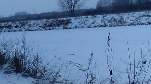 рыбалка на реке Курья.