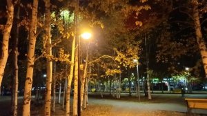 Вечерняя прогулка по красивому скверу.
