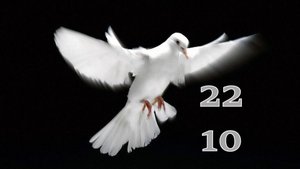 22.10.2025 - Прямая трансляция ст.Елизаветинская
