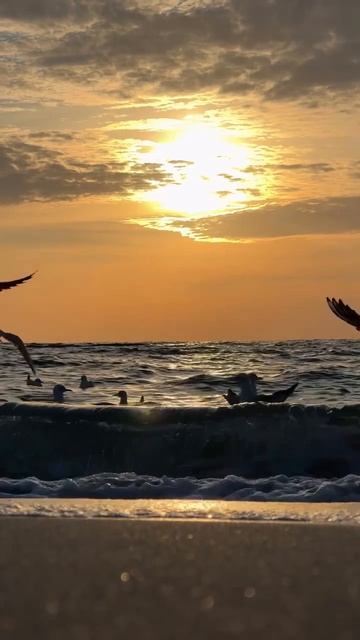 ОЧЕНЬ КРАСИВО.....