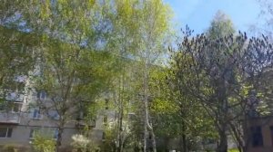 10 мая 2021 г. Как назвали котят? Может так: Багира, Шарлотка, Изюмка и Жорик!!!