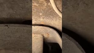 ☝️По поводу Changan буду держать вас в курсе что с ней случилось и почему из-за чего🤝