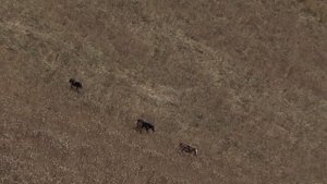 Осень в Уймонской долине