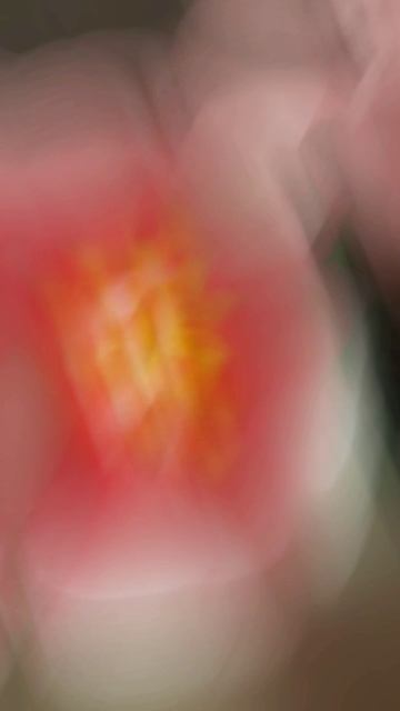 Надувная гирлянда из цветов Яблоня #shorts