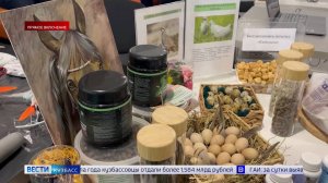 Инновации родом из села: в Новокузнецке продолжается выставка «АгроКузбасс»