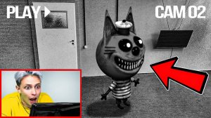 ТРИ КОТА попал на СКРЫТЫЕ КАМЕРЫ у меня дома! ＊＊коржик пришел к нам в офис＊＊