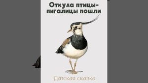 Откуда птицы - пигалицы пошли. Датская сказка, народов Европы.