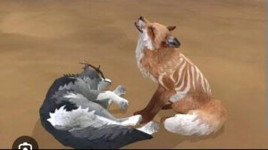 3 типа игроков вилд крафт