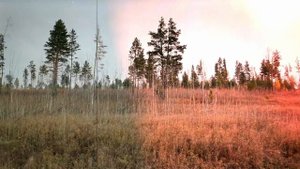 "Железные дороги". Группа "Седьмая Модель"