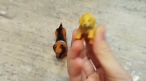 ПОКАЗАЛА ФИГУКИ СОБАК/И ТОЧТО МОГУ СНИМАТЬ!
ПОСМРИЕ ИРЕГИТЕ ЧТО ВСЕЖЕ МНЕ СНИМАТЬ?!