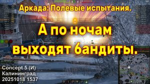 А по ночам выходят бандиты. Concept 5 (И). Аркада: Полевые испытания. Калининград. 20251018 1537.