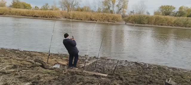Лещ на Реке Северский Донец.Берет на опарыша.
