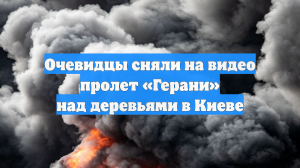 Очевидцы сняли на видео пролет «Герани» над деревьями в Киеве