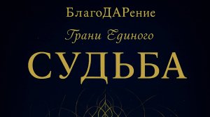 СУДЬБА. Текст Роман Егоров. Исполнение: Nikosho