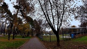 Парк Сосенки. Царицыно. Уличные молчаливые прогулки по городу. Часть 8.