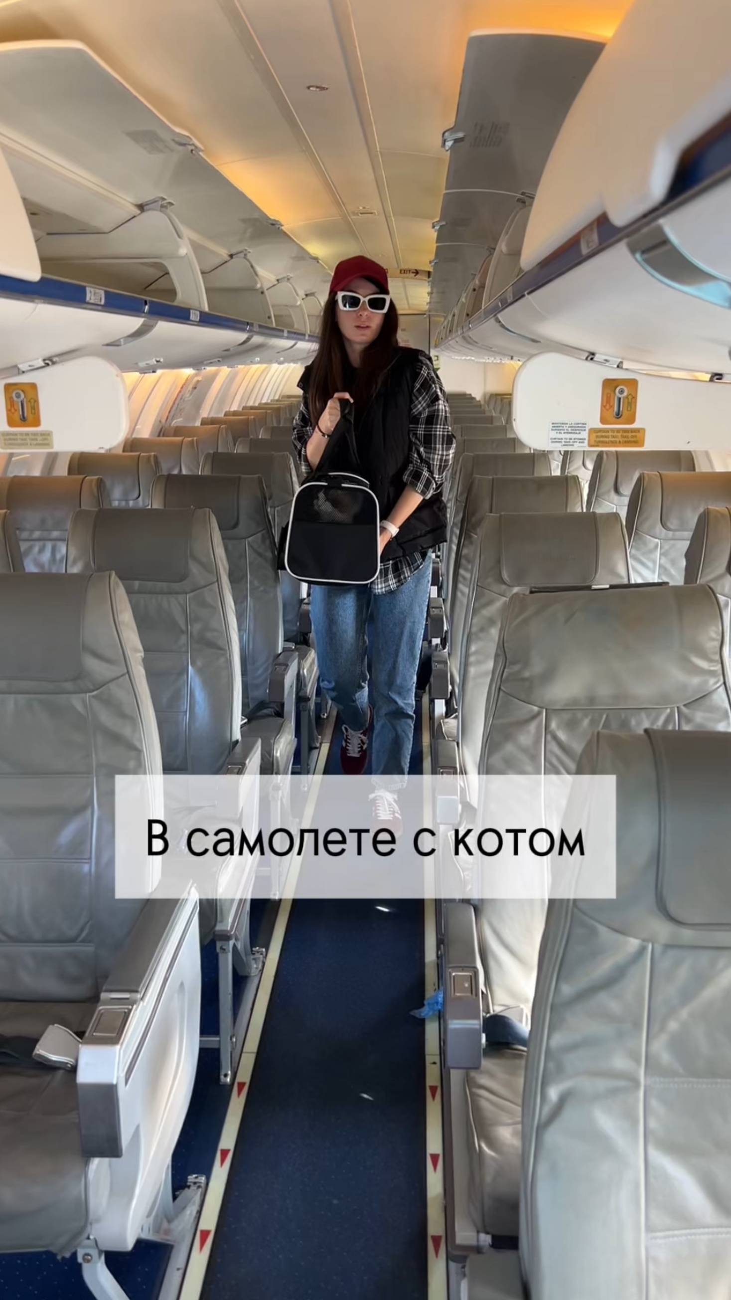 Первый раз летим с котом котики рэгдолл ragdoll перелет путешествияпороссии petfriendly