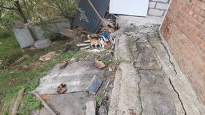 Котёнок
