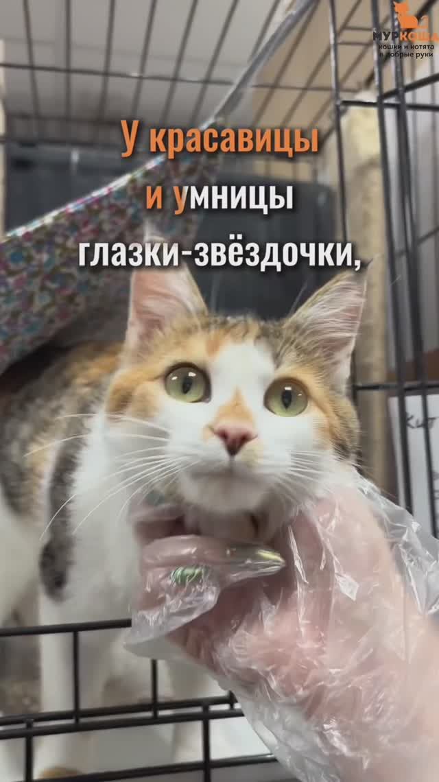 Августяша (уже дома)