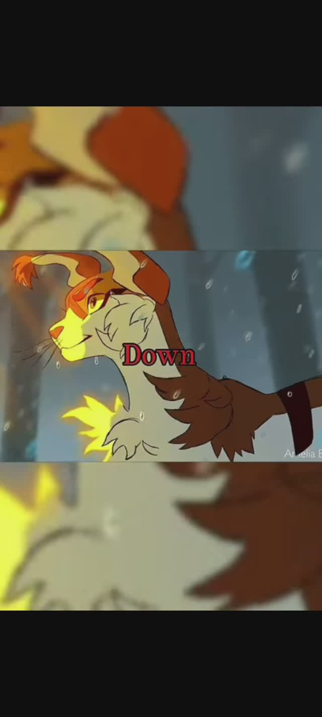 ✦🪻Коты воители🪻✦ смотреть онлайн