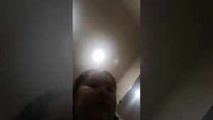 Только проснулась собака уже тут