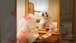 АДЕЛИКА РУМЯНА ATOMY.