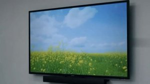 🎬 С Днём рекламиста!