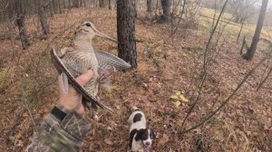 Uncompromising Annet вальдшнеп 2025