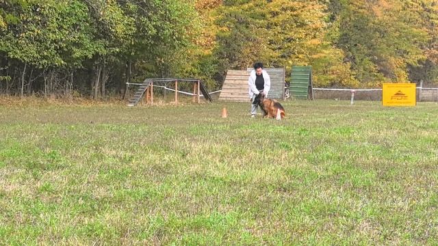 8.  выражено/пож ЭДЕЛЬВЕЙС КУБАНИ ЧЕЛЛИ (Mein Stern Grad – Эдельвейс Кубани Фабби)