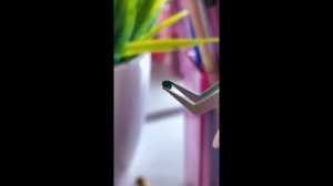 Страшная история |Даша Рокс|