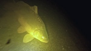 Канал удивляет